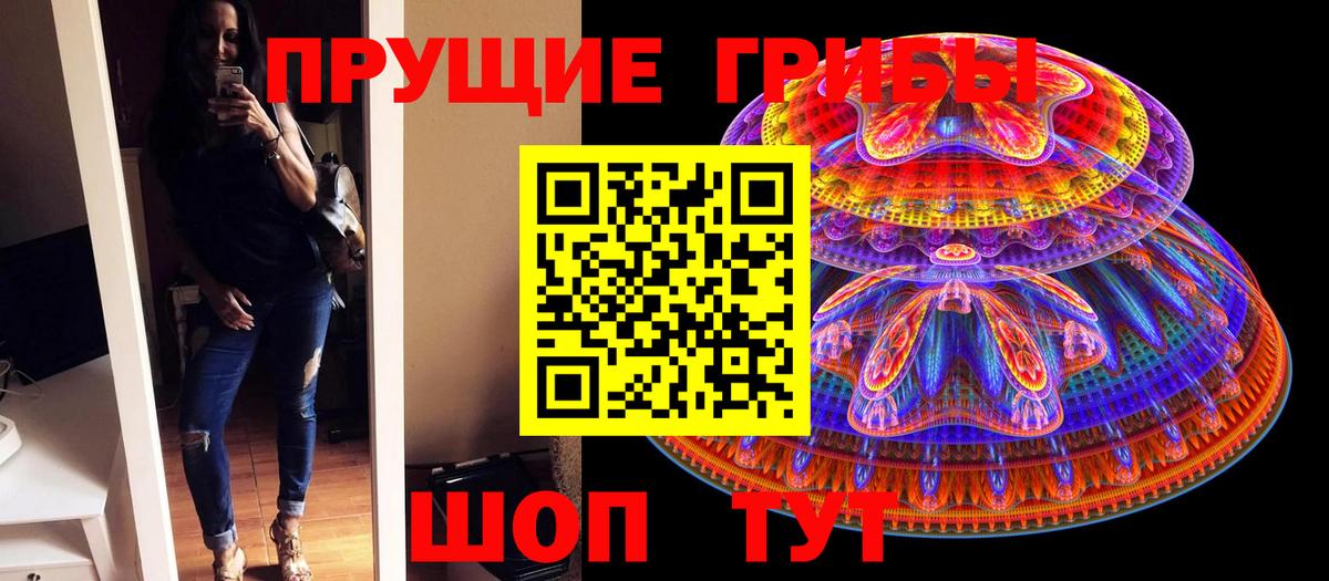 Галлюциногенные грибы MAGIC MUSHROOMS  Псилоцибиновые грибы GOLDEN TEACHER  Вход с VPN  Полысаево 