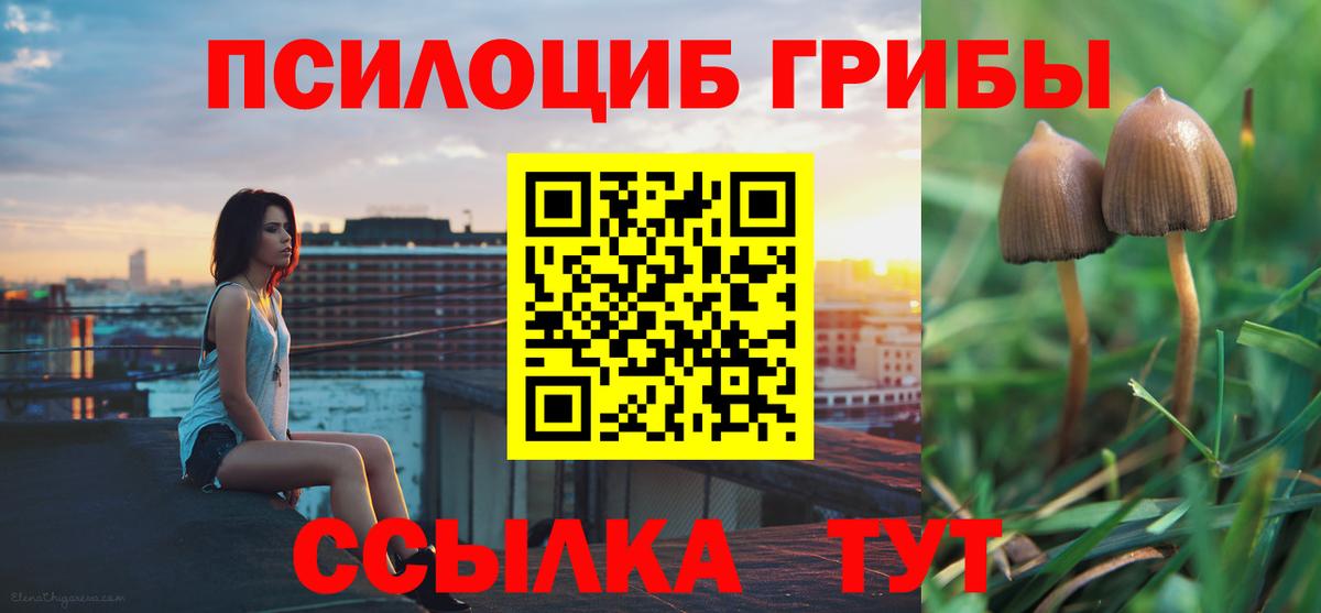 Псилоцибиновые грибы Psilocybe Полысаево